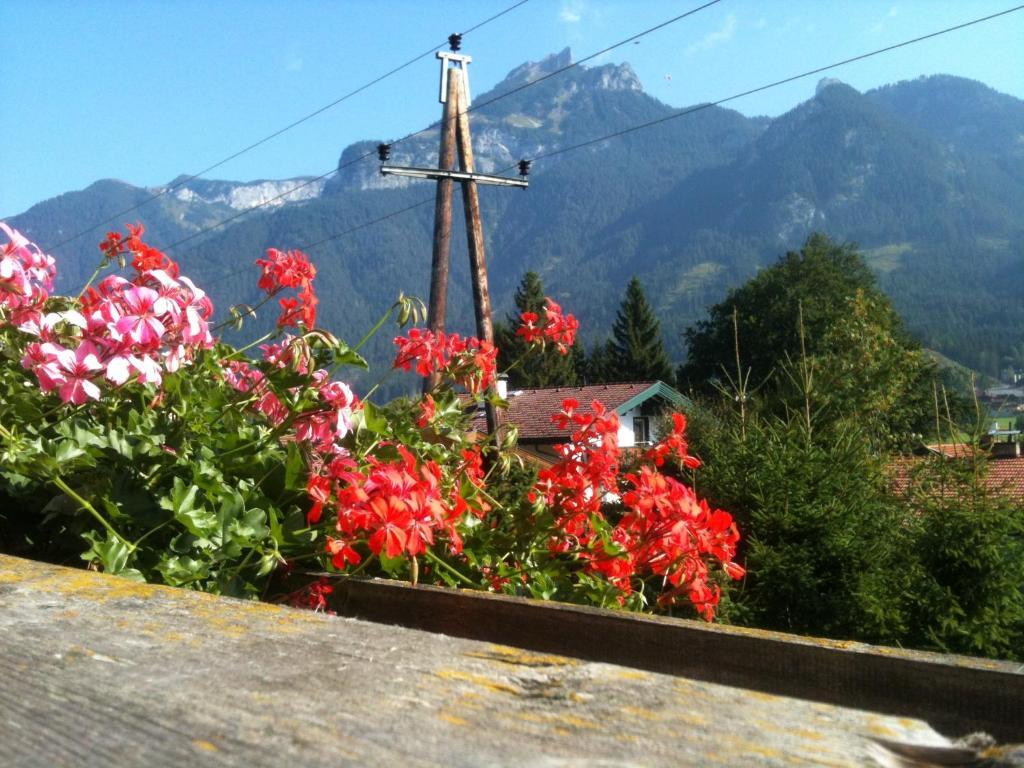 Pension Laerchenhof Maurach (Achensee) Room photo